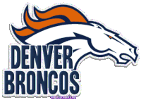 detroit lions football STICKER