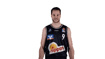 hakromerlins basketball up swipe swipeup Sticker