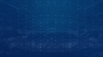 PiratiChomutov goool jakub pirati chomutov GIF