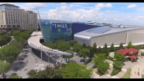 atlanta georgia GIF