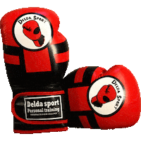 deldasport boxing kickboxing personal trainer personal training Sticker