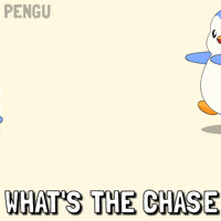 Chasing Whats Going On GIF by Pudgy Penguins