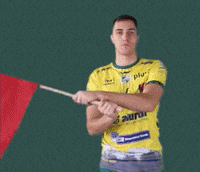 National Team Flag GIF by Aluron CMC Warta Zawiercie