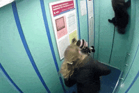 GIF by Mashable