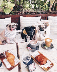 Coffee Cafe GIF