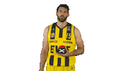 Ewe Baskets Basketball Sticker by EWE Baskets Oldenburg