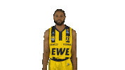 Ewe Baskets Basketball Sticker by EWE Baskets Oldenburg