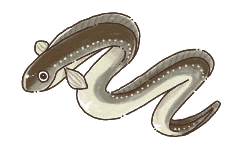 Fish 魚 Sticker by nicocook