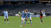 Happy Major League Soccer GIF by NYCFC