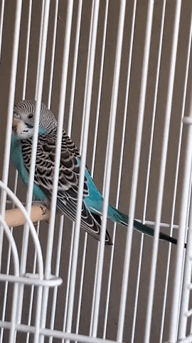 TheNoobThatDied giphyupload GIF