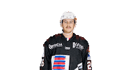 La Roche Sur Yon Vendee Sticker by Hockey Glace Yonnais