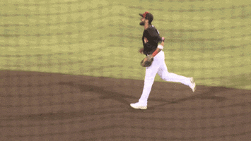 High Five San Diego Padres GIF by El Paso Chihuahuas