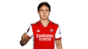 Celebrate Champions League Sticker by Arsenal