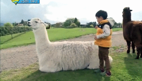 Kids Fall GIF