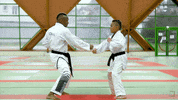 karatecombat sports sport mma punch GIF