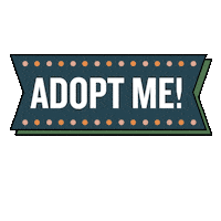 Dogs Adopt Me Sticker by Lucky Lab Coffee Co