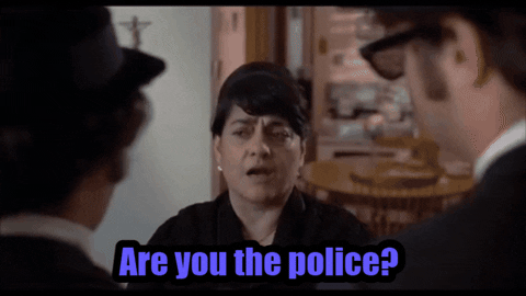 petesauber giphygifmaker police musicians blues brothers GIF