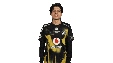 Borussia Dortmund Yawn Sticker by Bundesliga