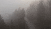 GIF by Cinecom.net