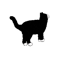 Cat ねこ Sticker by Illustrator.aki