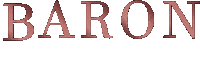 BaronAcademy baron baronacademy Sticker