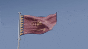 Sri Lanka Flag GIF