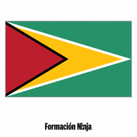 Flag Bandera GIF by Formación Ninja