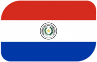 World Cup Football GIF