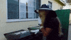 trash garbage GIF