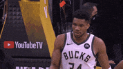 Nba Playoffs Sport GIF by NBA