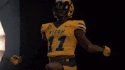 North Dakota State Bison GIF by NDSU Athletics