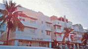 DiscoTropicana pop disco tropical tropicana GIF