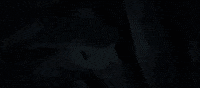 Jjk GIF