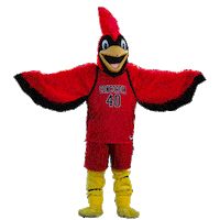 cuannarbor cardinals gocards corky cuaa Sticker