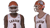 Cnmb Sticker by Carson-Newman Athletics