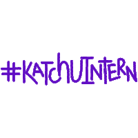 katchdata intern internship katch katchu Sticker