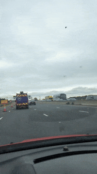 GIF by Stella 52