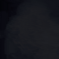 Sport Running GIF by Dash Digital Cash
