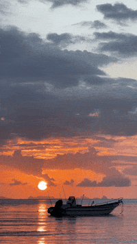 GIF by Learner Circle