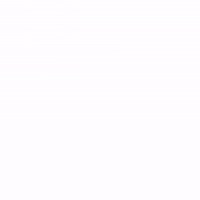 College Uconn GIF by Central Connecticut State University
