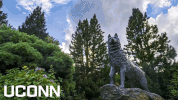 Jonathan The Husky GIF by UConn