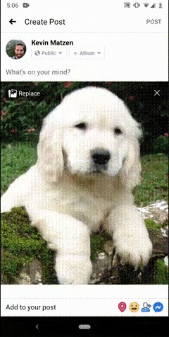 manishapriyadarshini giphyupload GIF