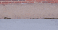 OpieWay  GIF