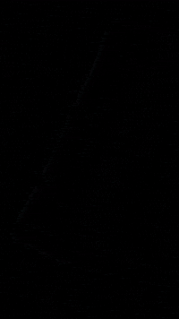 Bloom GIF by Prime Supps Llc