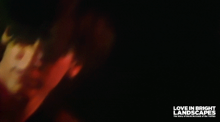 Triffids GIF by Madman Films