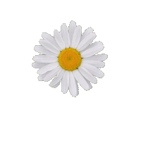 Sticker by Design4 web solutions