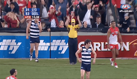 afl umpire GIF by AFL