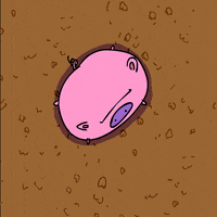 Animation Domination High Def Lol GIF by gifnews