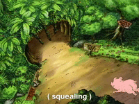 hey arnold nicksplat GIF