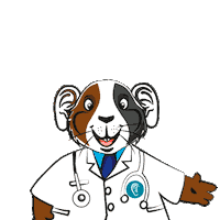 MarketingMedicalAudicion hola saludo cuy oreja Sticker